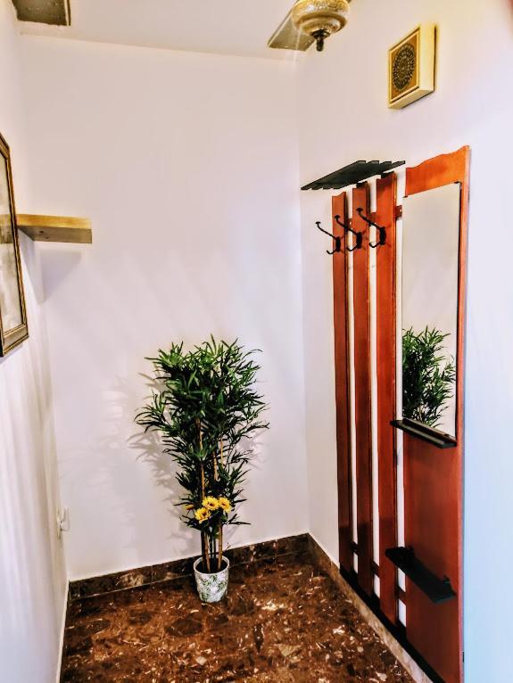 Apartmani Mila A1 & A2 & 3 Trogir Dış mekan fotoğraf